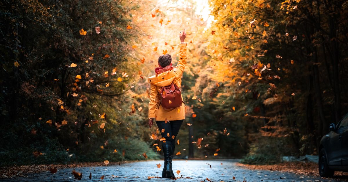Fall Presets for Lightroom Free