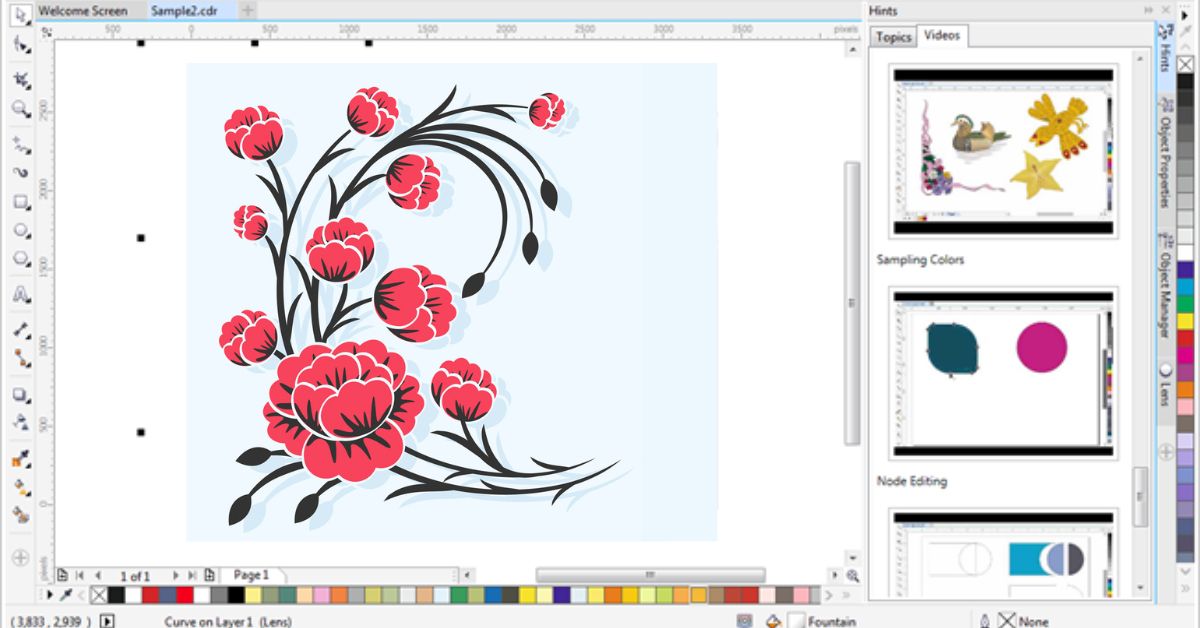 Best Photo Design Software