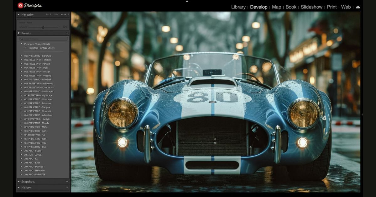 Download Free Vintage Lightroom Presets