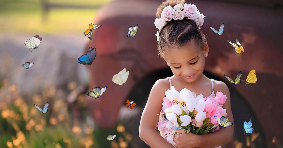 Free Butterfly Overlays
