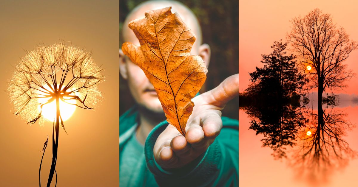 Instagram Presets Free Download