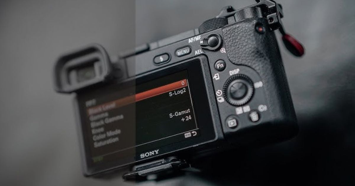 Free Sony A6000 LUTs