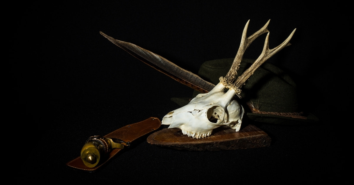 Fine Art Photography