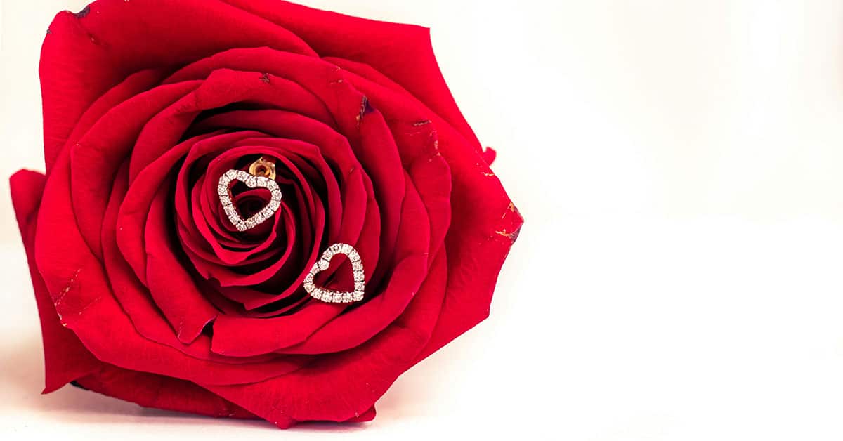 Creative Background for Jewelry Photography