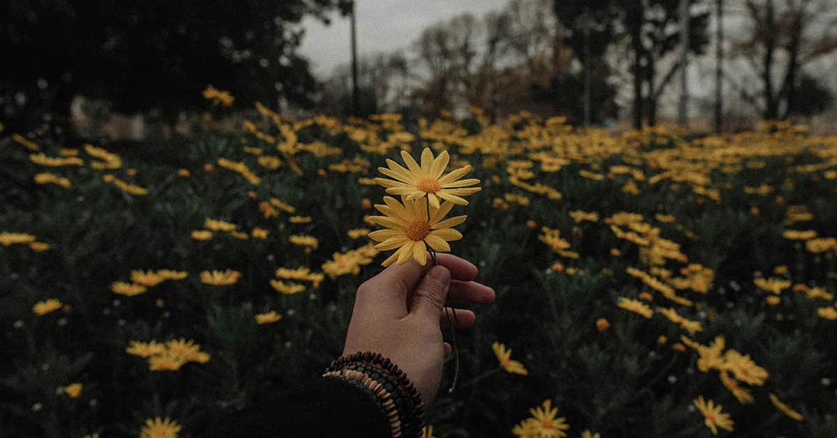 Flower Aesthetic Wallpapers