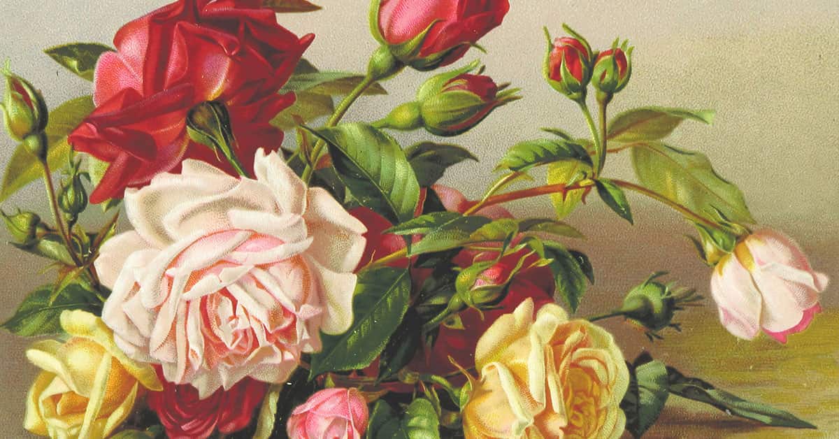 Turn a Photo Into a Painting