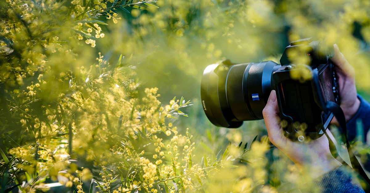 When Do I Need Photography Permit Laws
