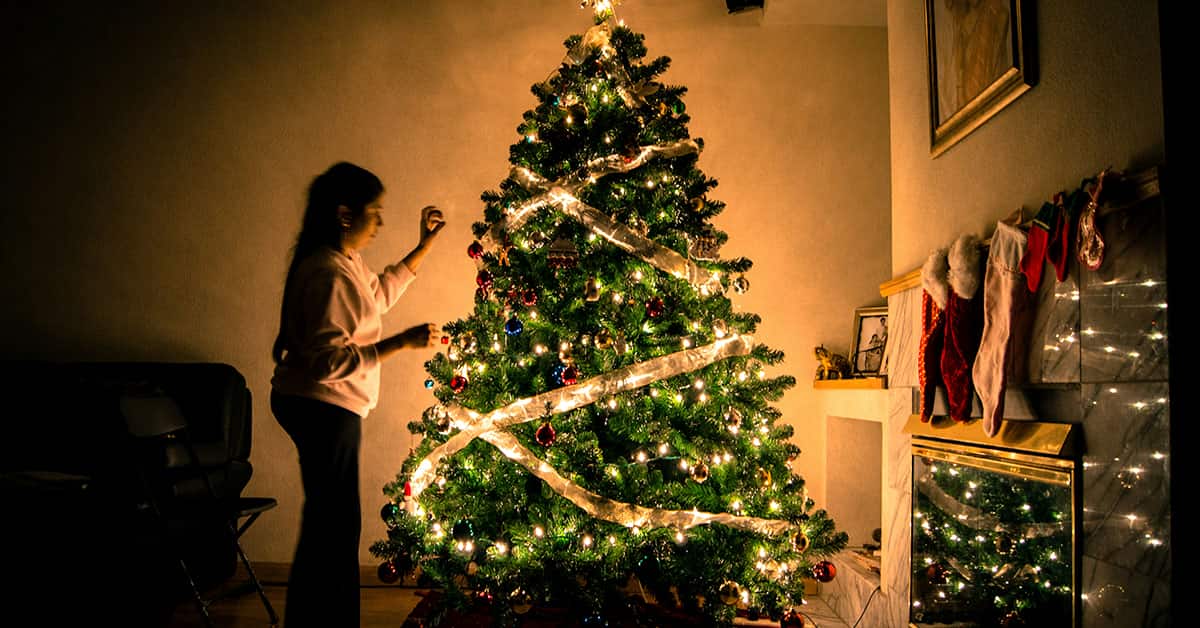 Christmas Tree Photoshoot Tips