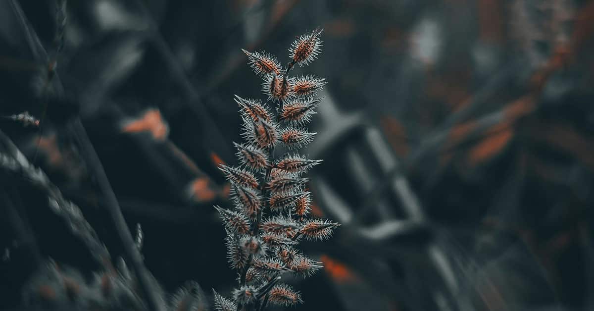 Concrete Texture Photoshop
