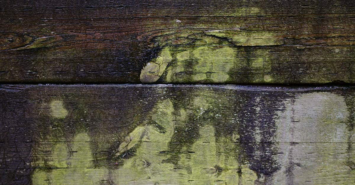 Distressed Overlay
