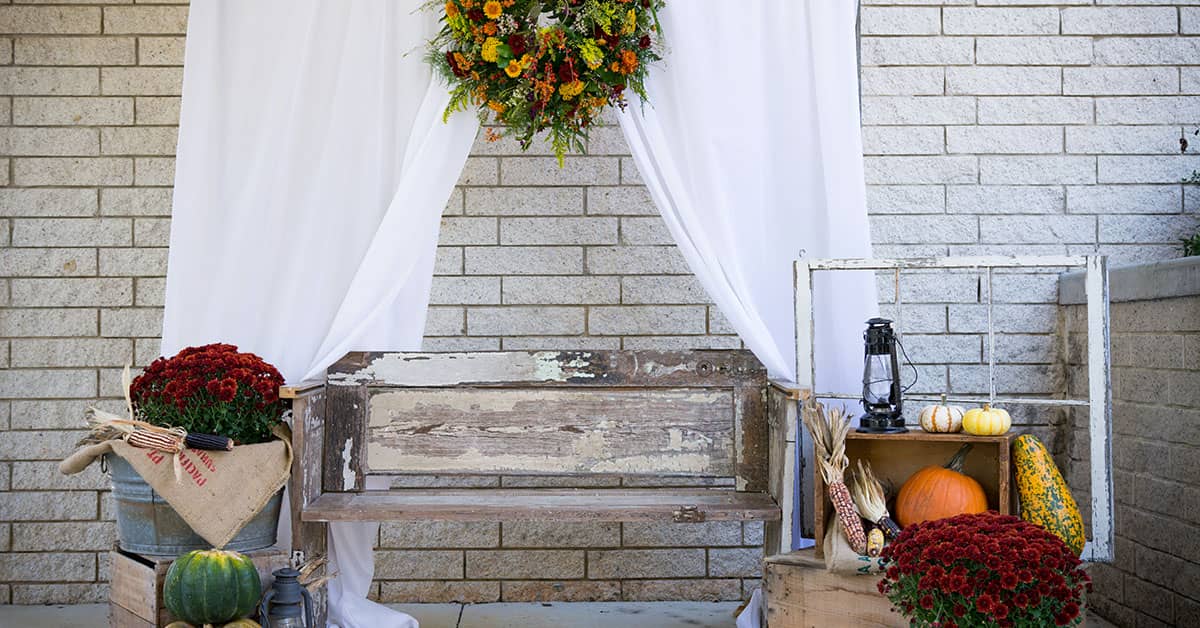 Diy Photo Backdrop