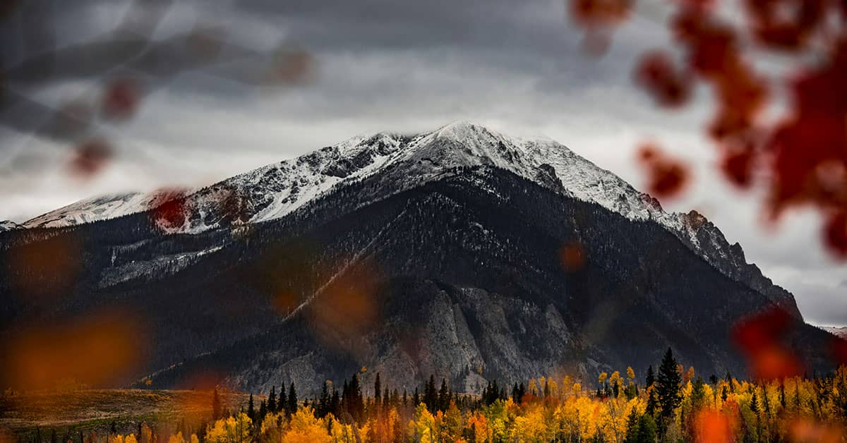 Faststone Image Viewer for Mac Download