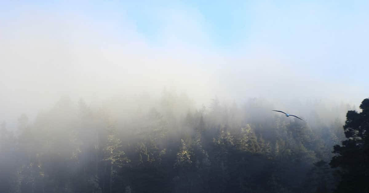 Haze Overlay