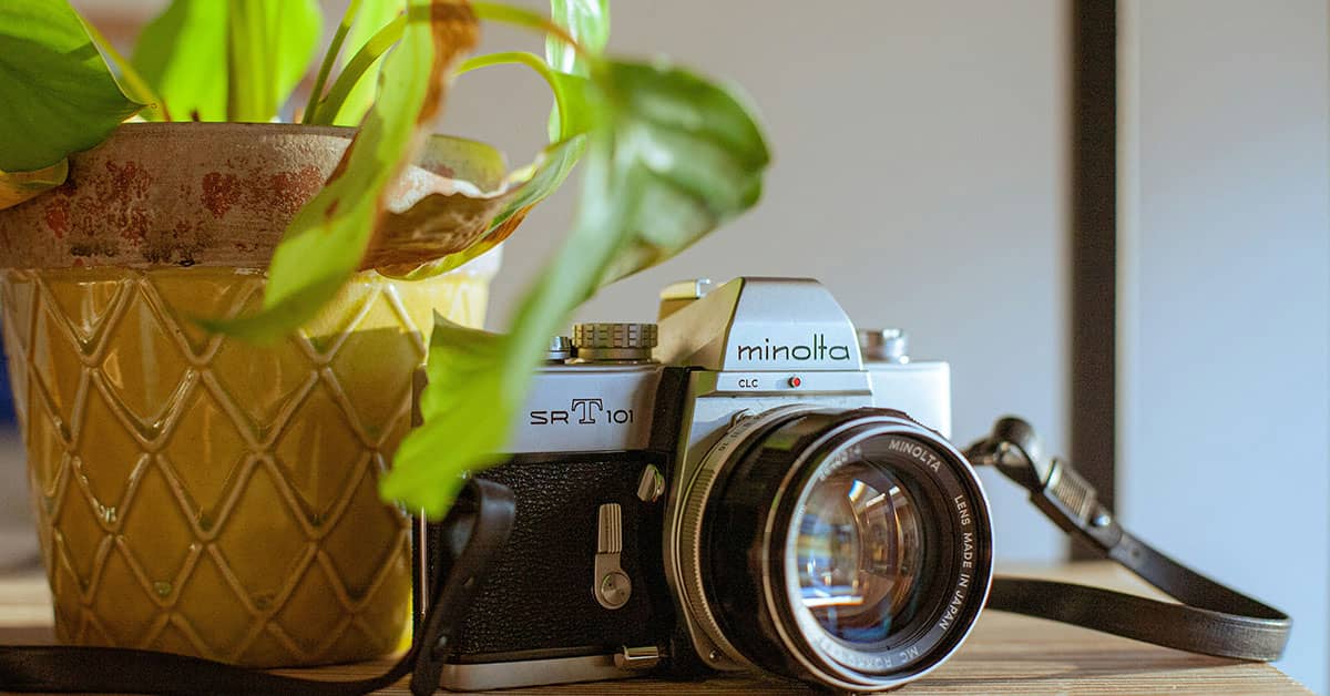 Photography Ideas at Home
