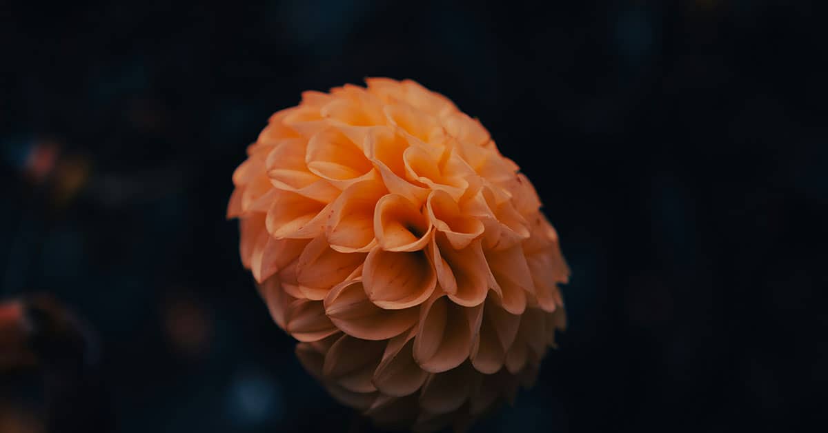 Pretty Presets