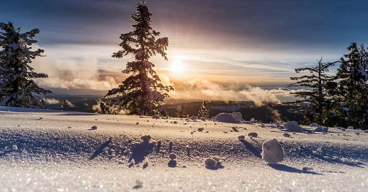 Snow PNG