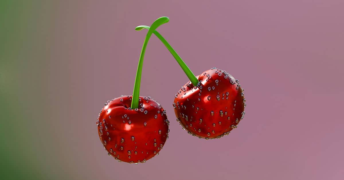 Still Life Photography Ideas