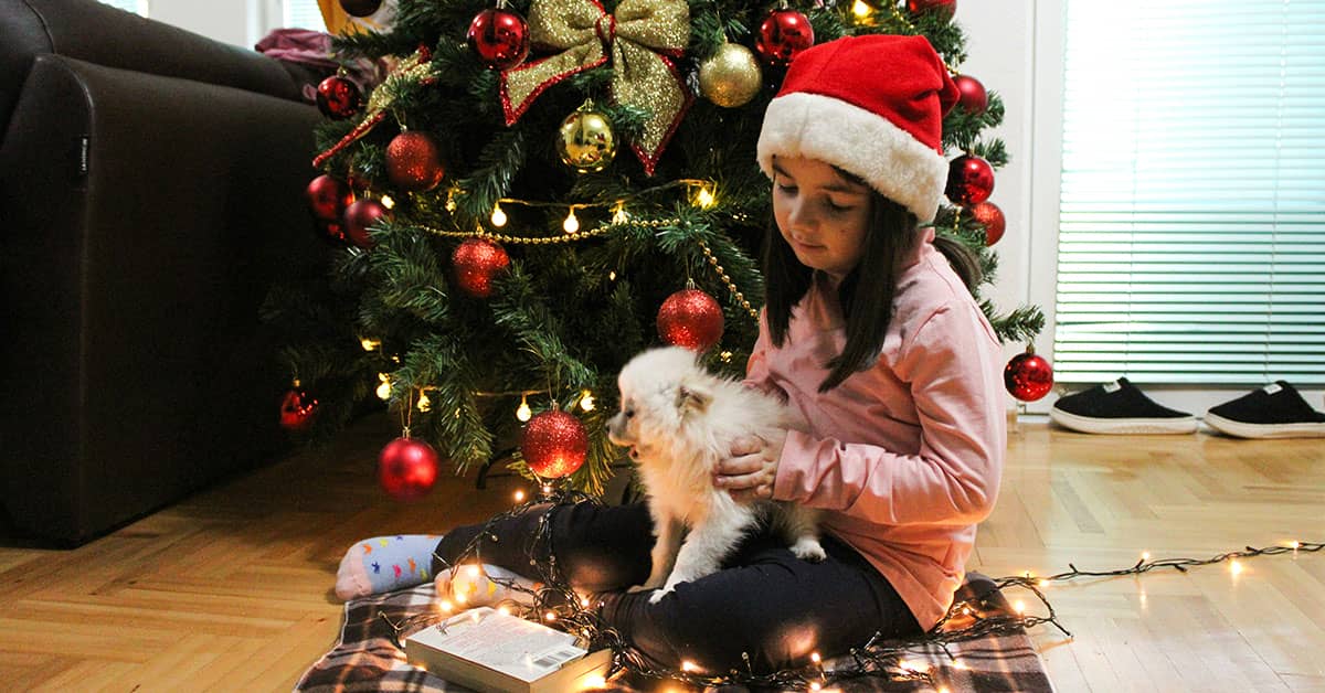 Christmas Photo Captions