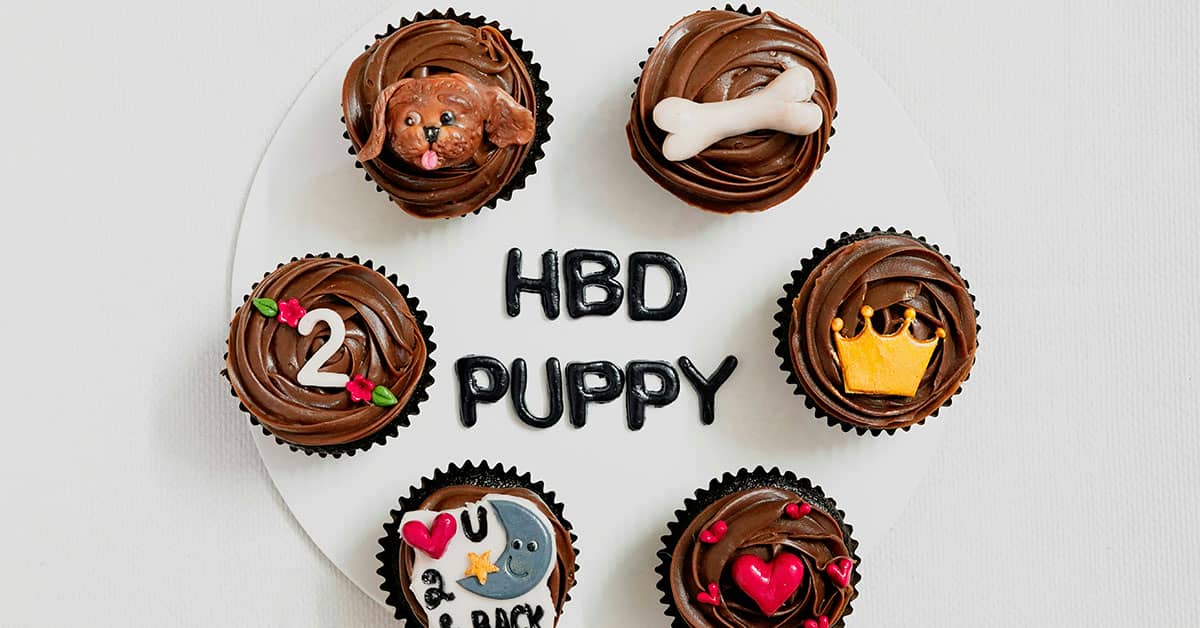 Cupcake Photography Ideas