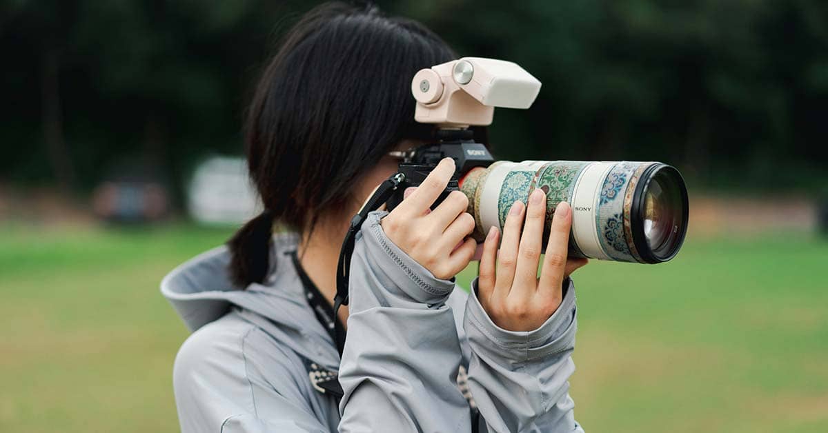 Director of Photography in Animation