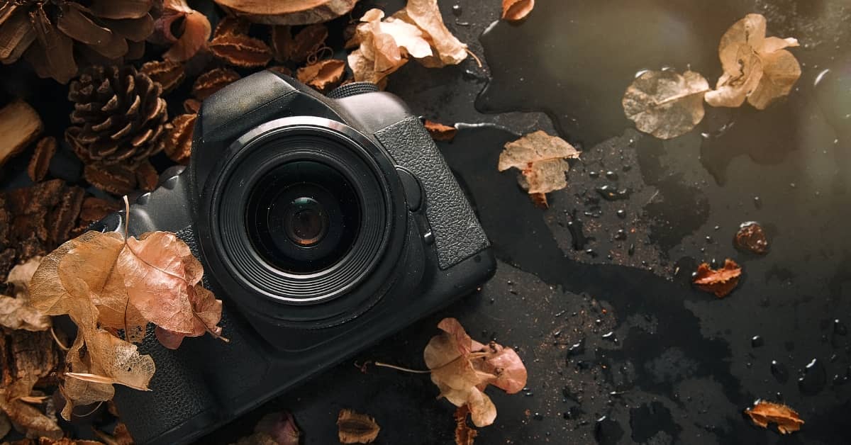 Director of Photography Pay