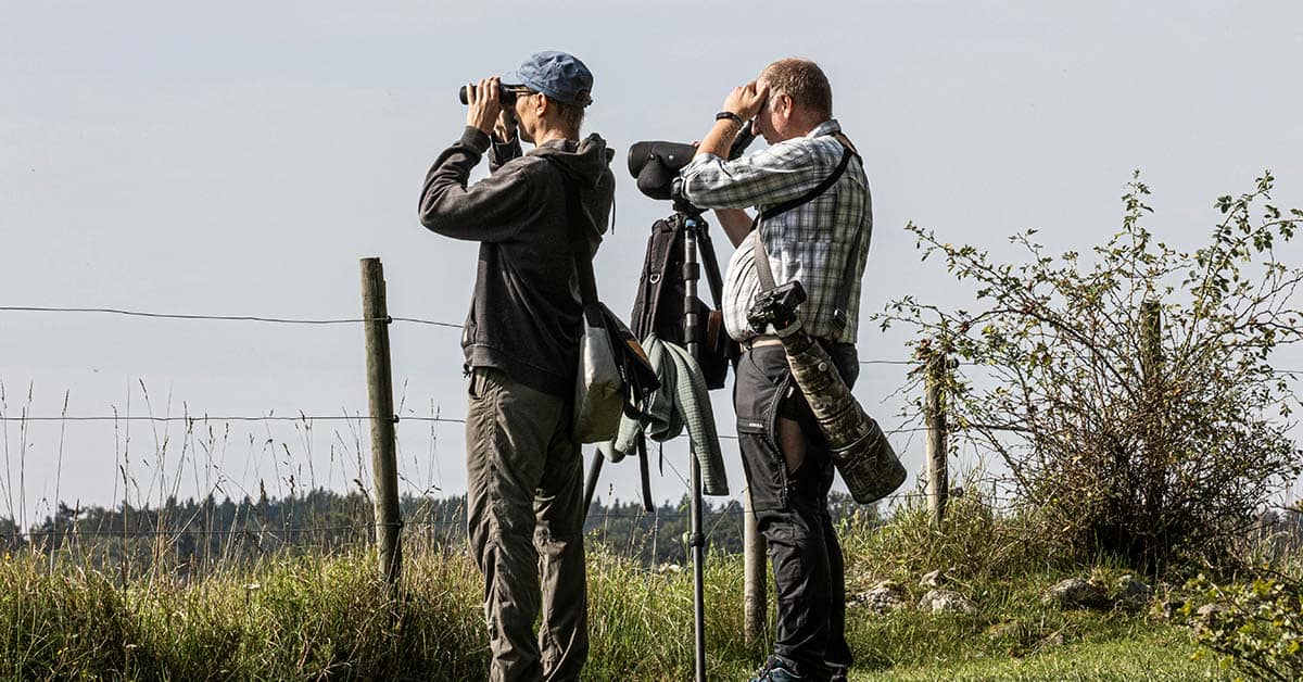 Director of Photography vs Director