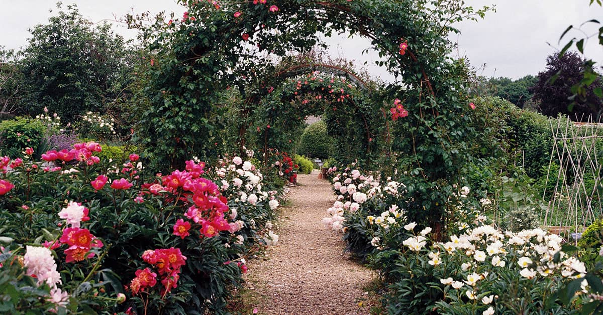 Garden Photography Ideas