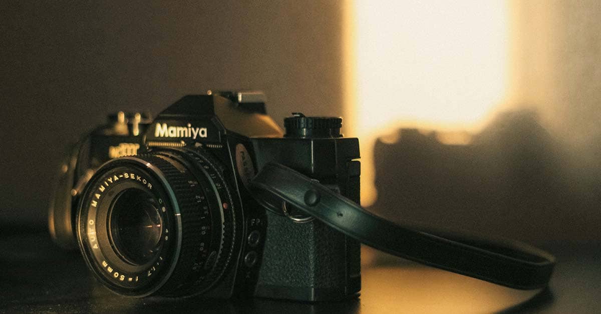 How Often Do Photographers Work