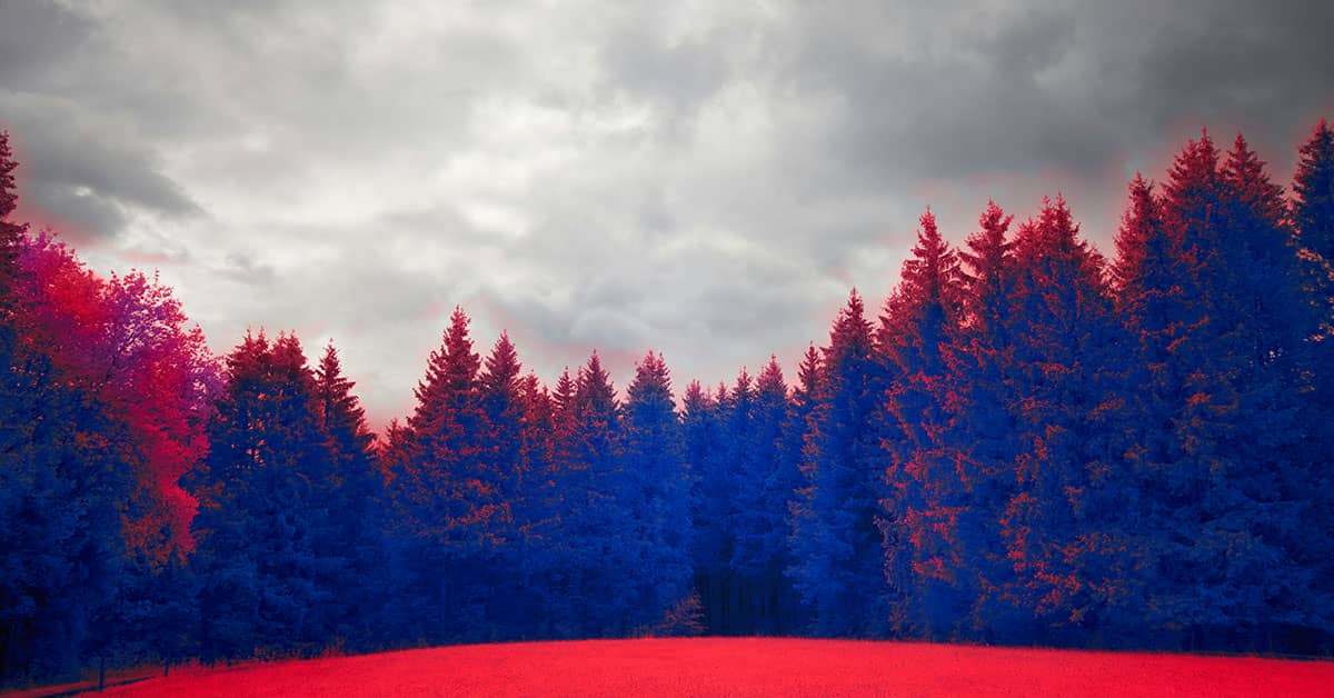 How to Match a Color in Photoshop