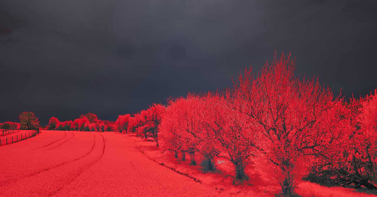Infrared Photographer