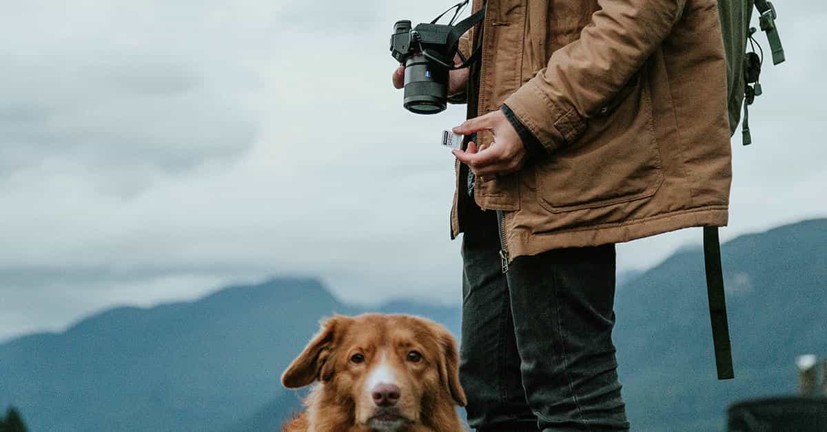 Pet Lifestyle Photographer