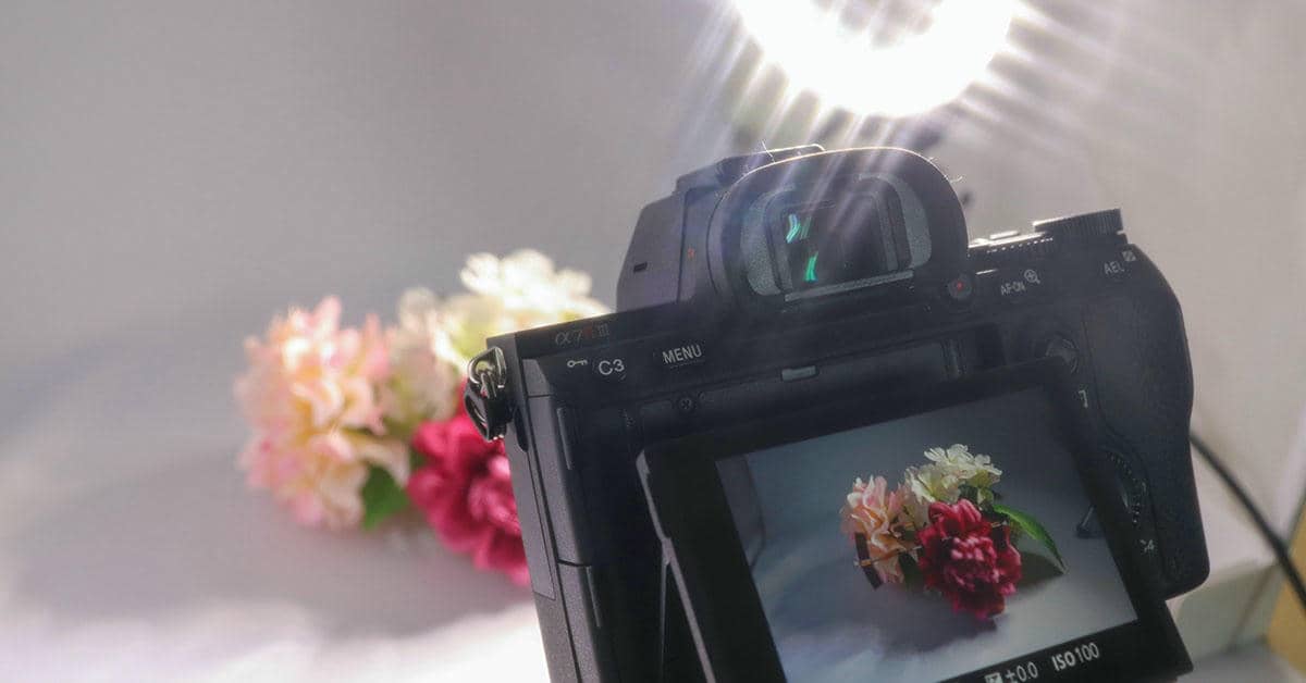 Photo Studio for Sale