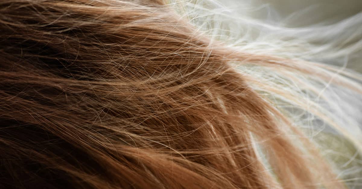 Photoshop Hair Brushes