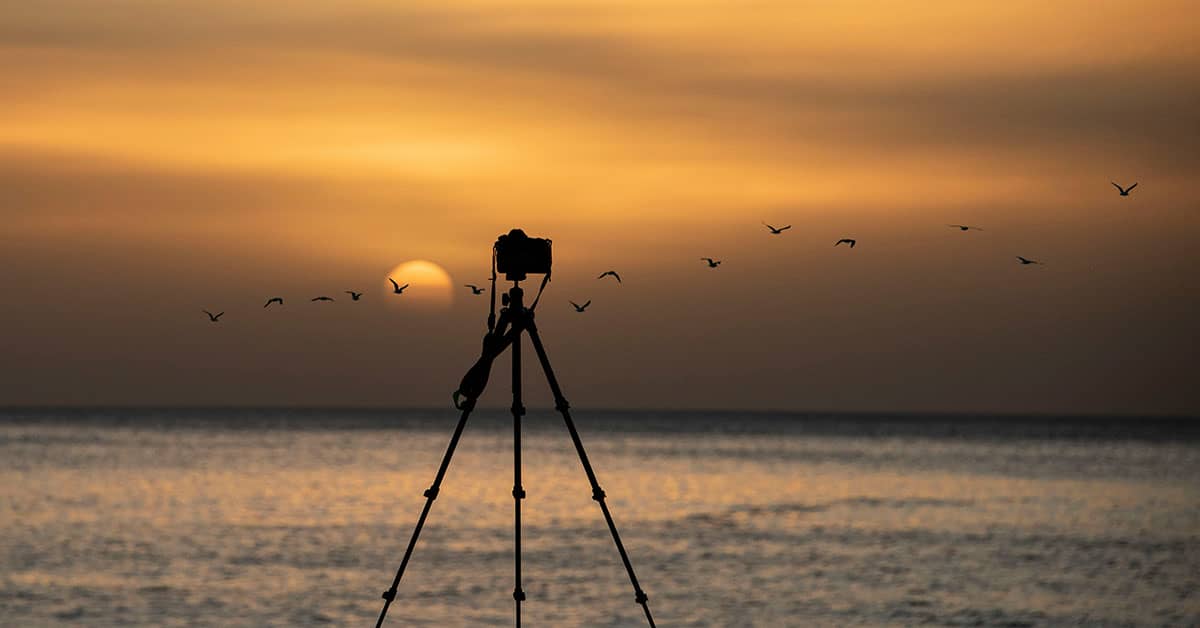 What is a Tripod?