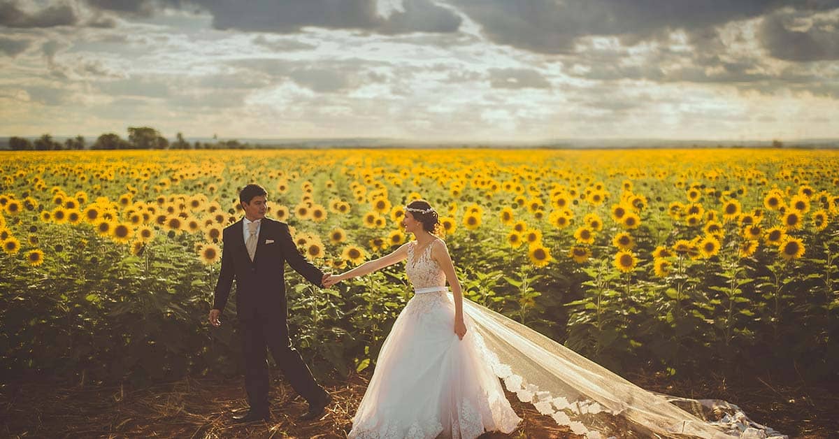 4 Memorable Wedding Toast Images