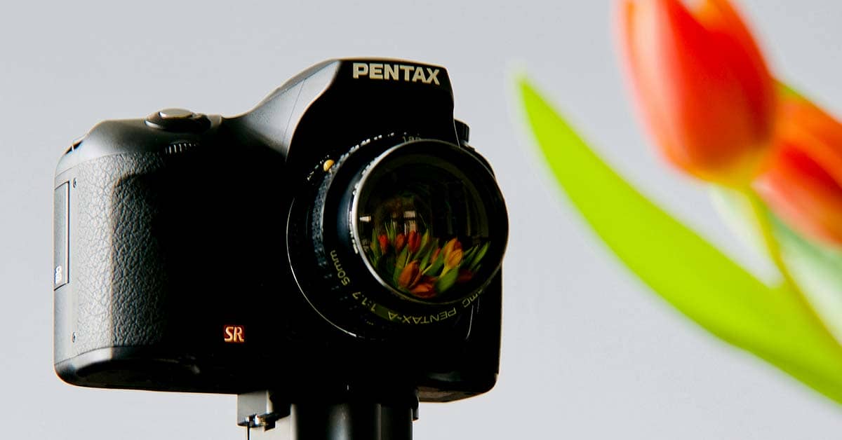 6 Plugins You Need for Your Photography Website