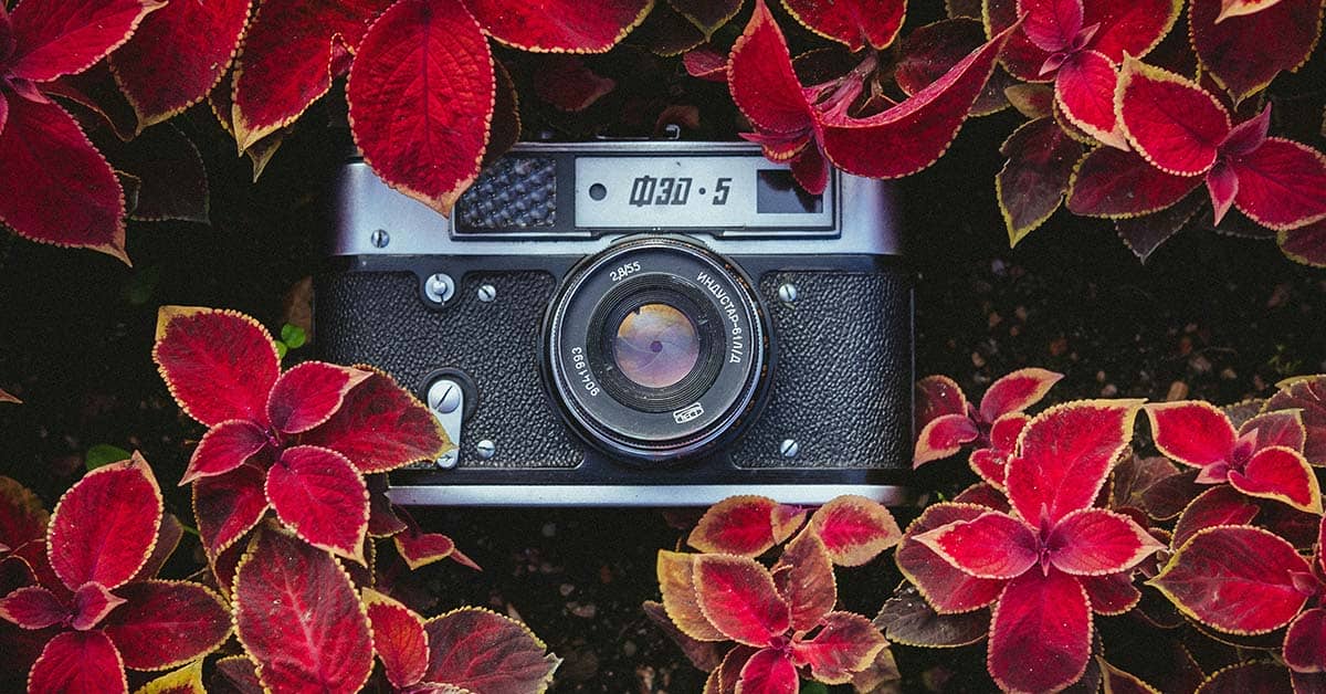 Photographers Reveal Their Most SuCCessful Instagram Post